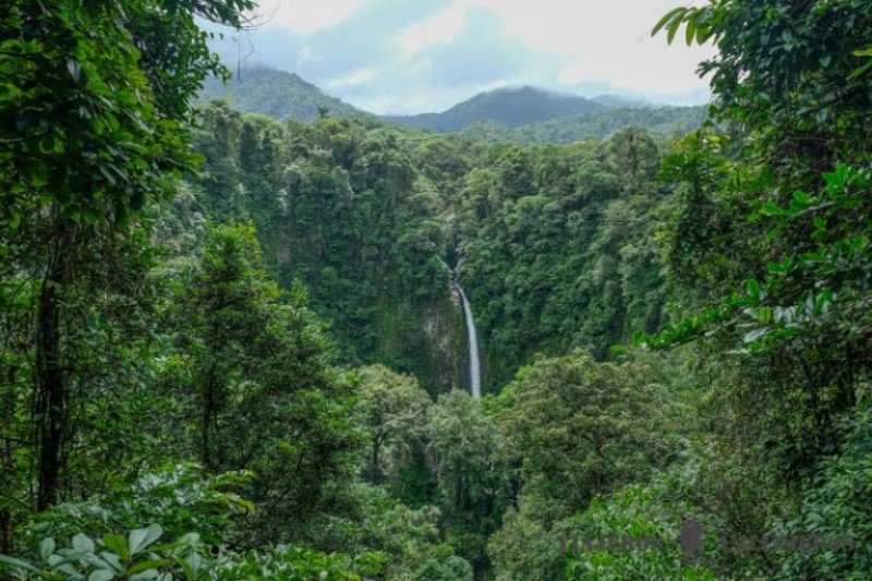 Descubre los mejores precios para visitar la catarata La Fortuna