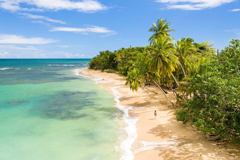 Descubre las mejores actividades que hacer en Costa Rica: aventuras en la selva